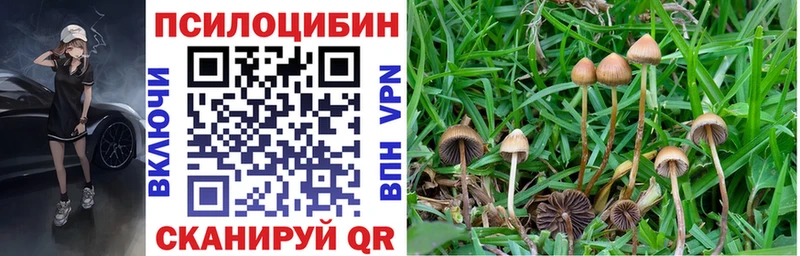 Псилоцибиновые грибы Psilocybine cubensis Орлов
